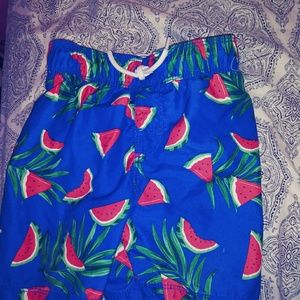 2t boys swim trunks